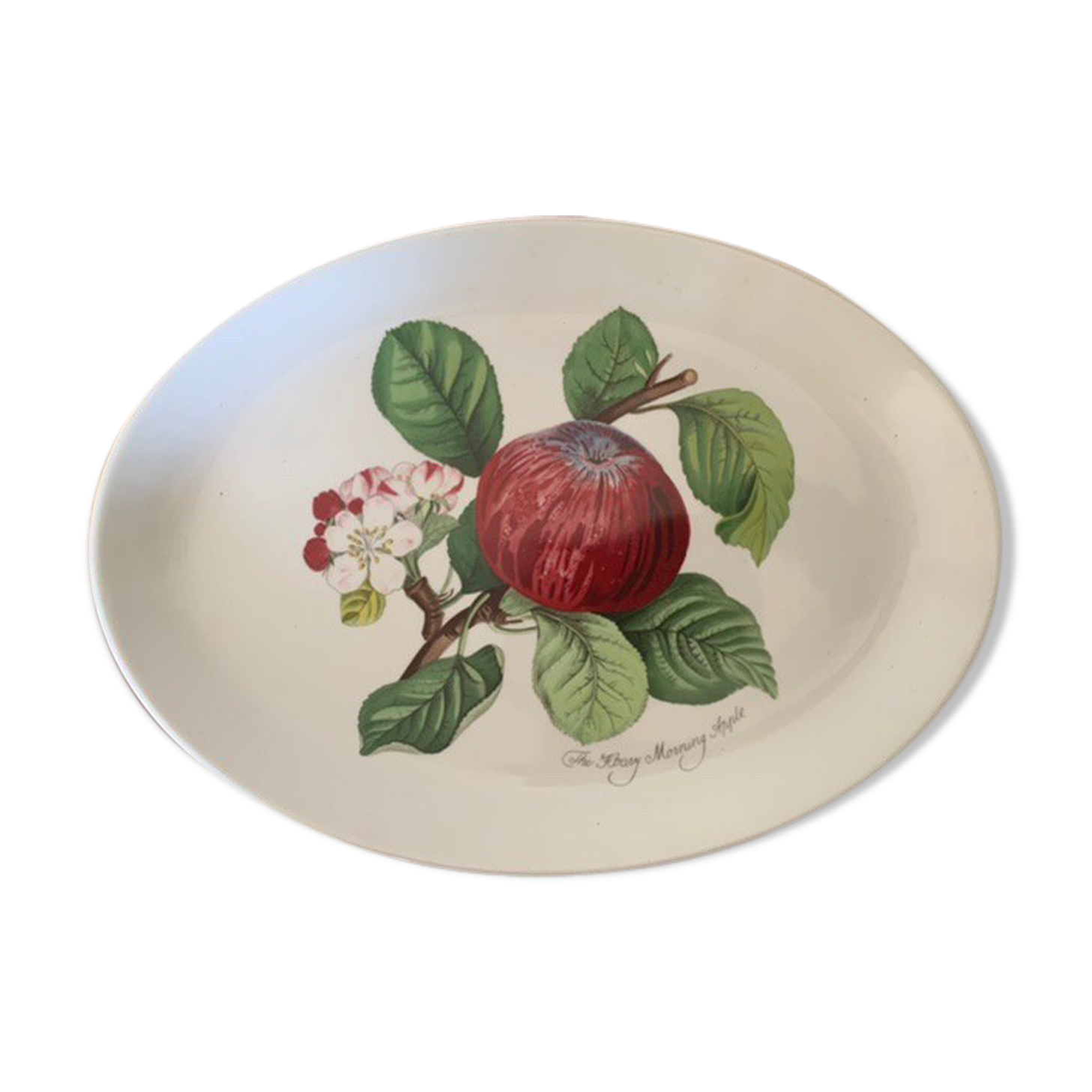 Dish - Portmeirion Pomona