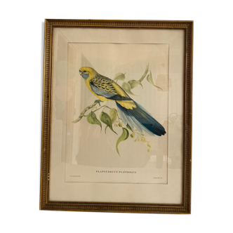 Framed lithography
