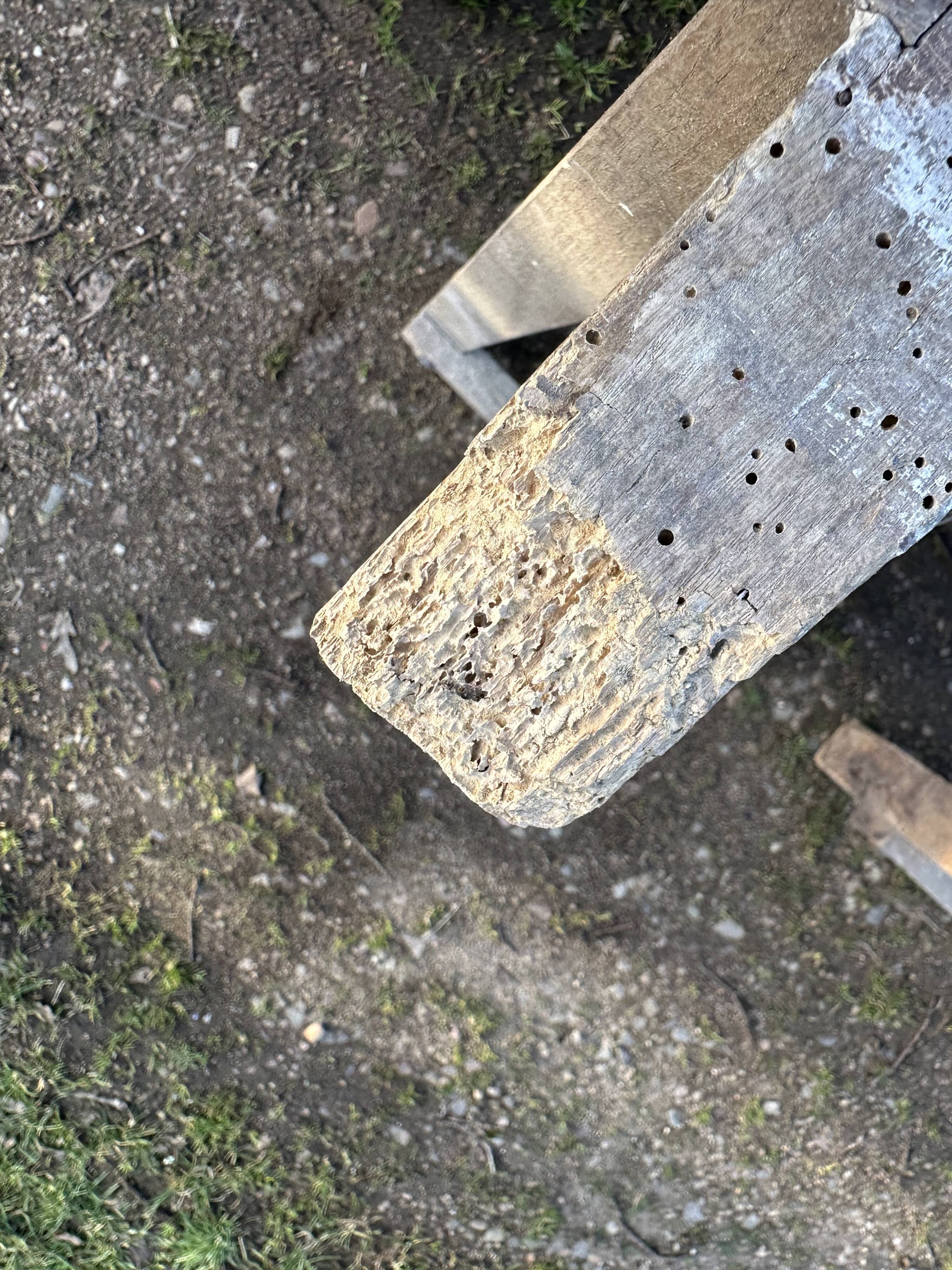 Farm table guinguette and wooden trestles