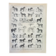 Gravure • Chevaux, race, anatomie, course • Lithographie originale et vintage de 1898