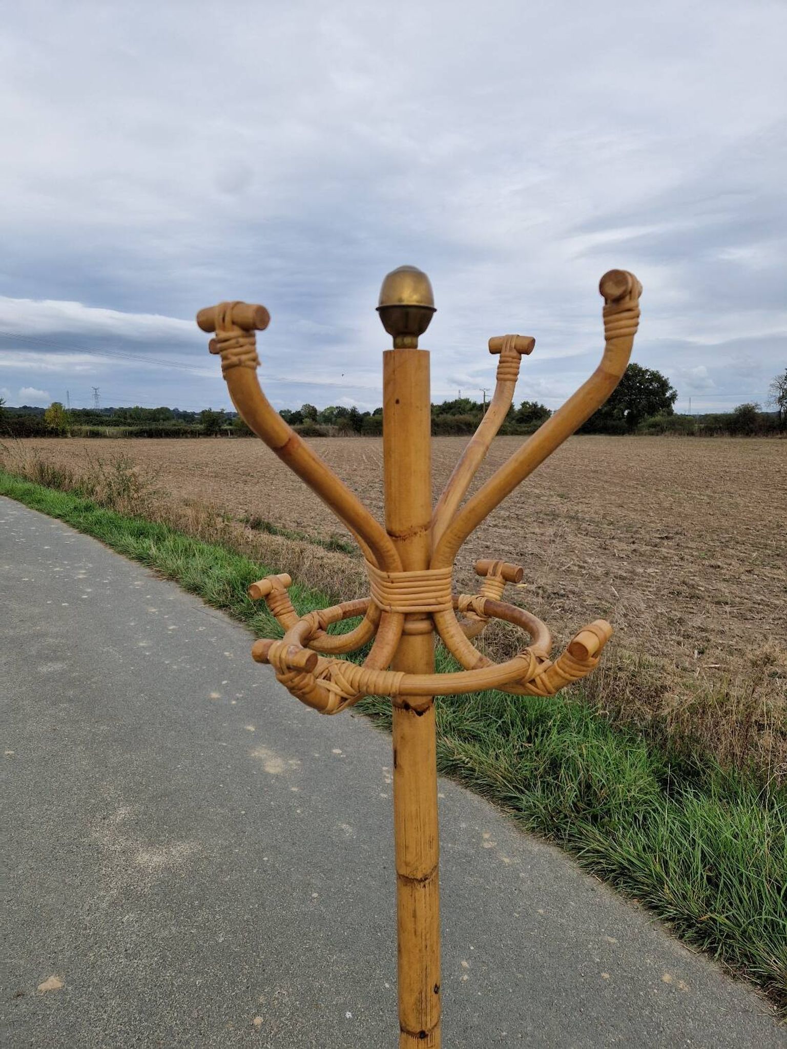 Vintage rattan parrot coat rack