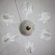 Extraordinary 6 Light Rostrato Murano Glass Chandelier by Barovier & Toso,