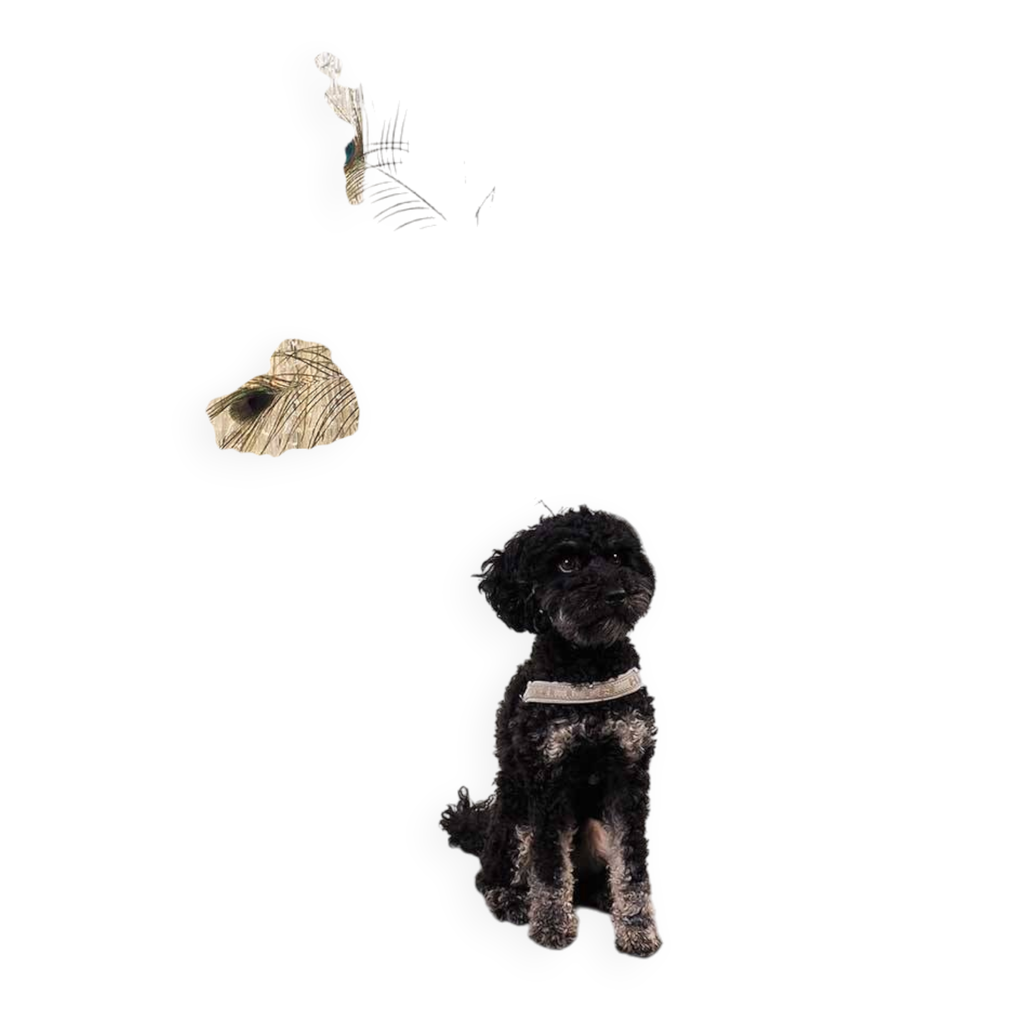 Tronchi JT Kalmar solar lamp