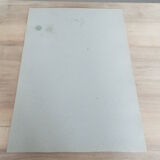 Water lily botanical board