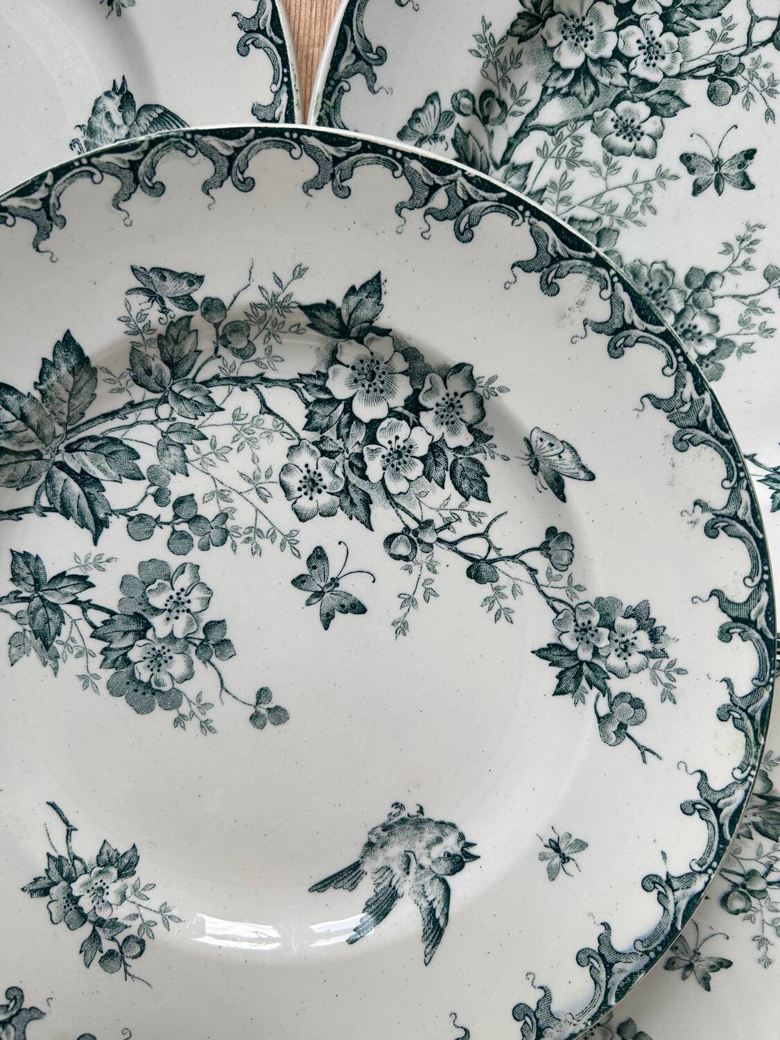 Series of 6 old flat plates “Terre de Fer”