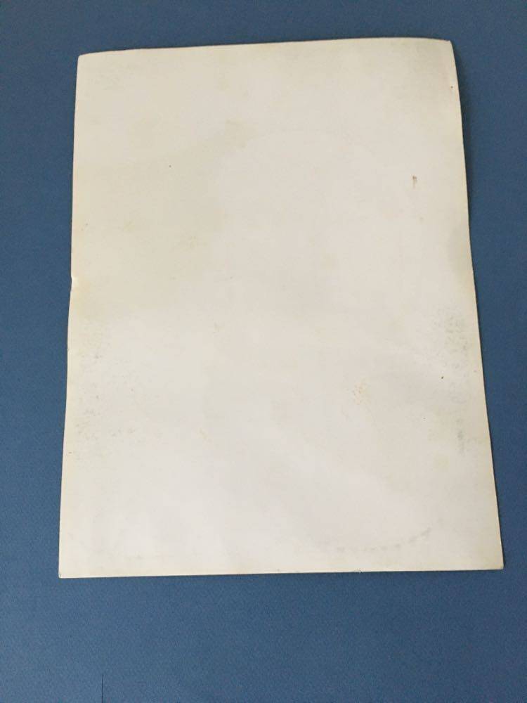 Reproduction of the "Soap the Cat" poster