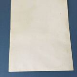 Reproduction of the "Soap the Cat" poster