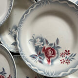 11 plates Olga Digoin