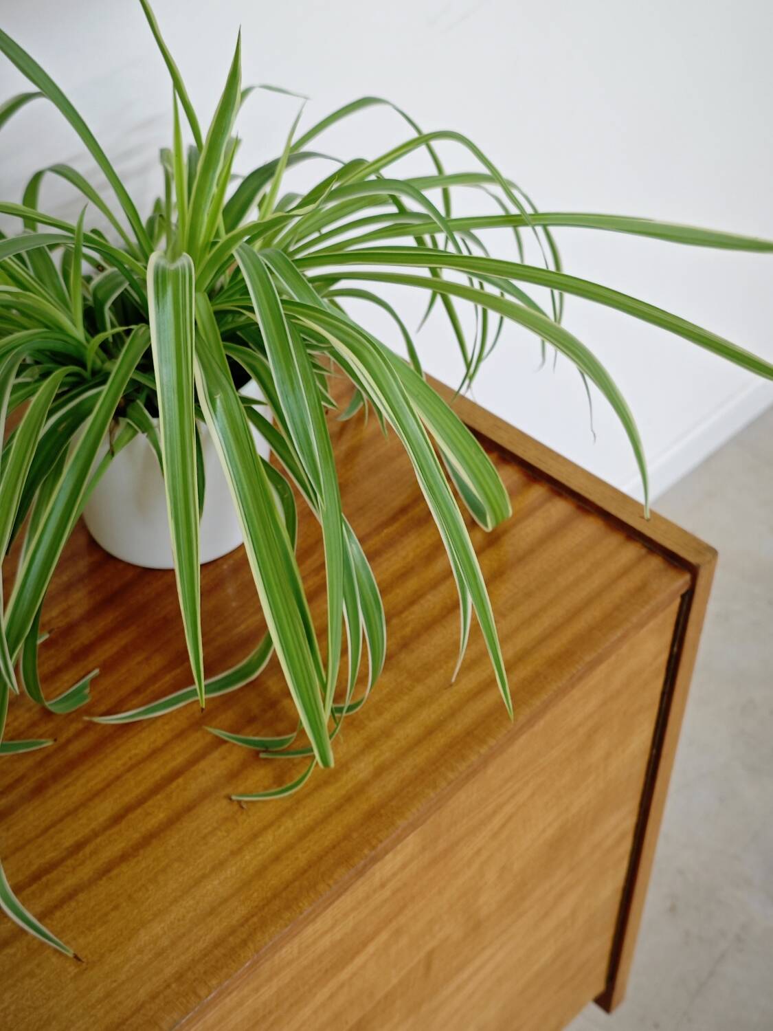 Enfilade Storage Unit Frantisek Mezulanik for Up Zavody 1960