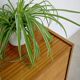 Enfilade Storage Unit Frantisek Mezulanik for Up Zavody 1960