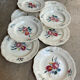 9 plates Sarreguemines