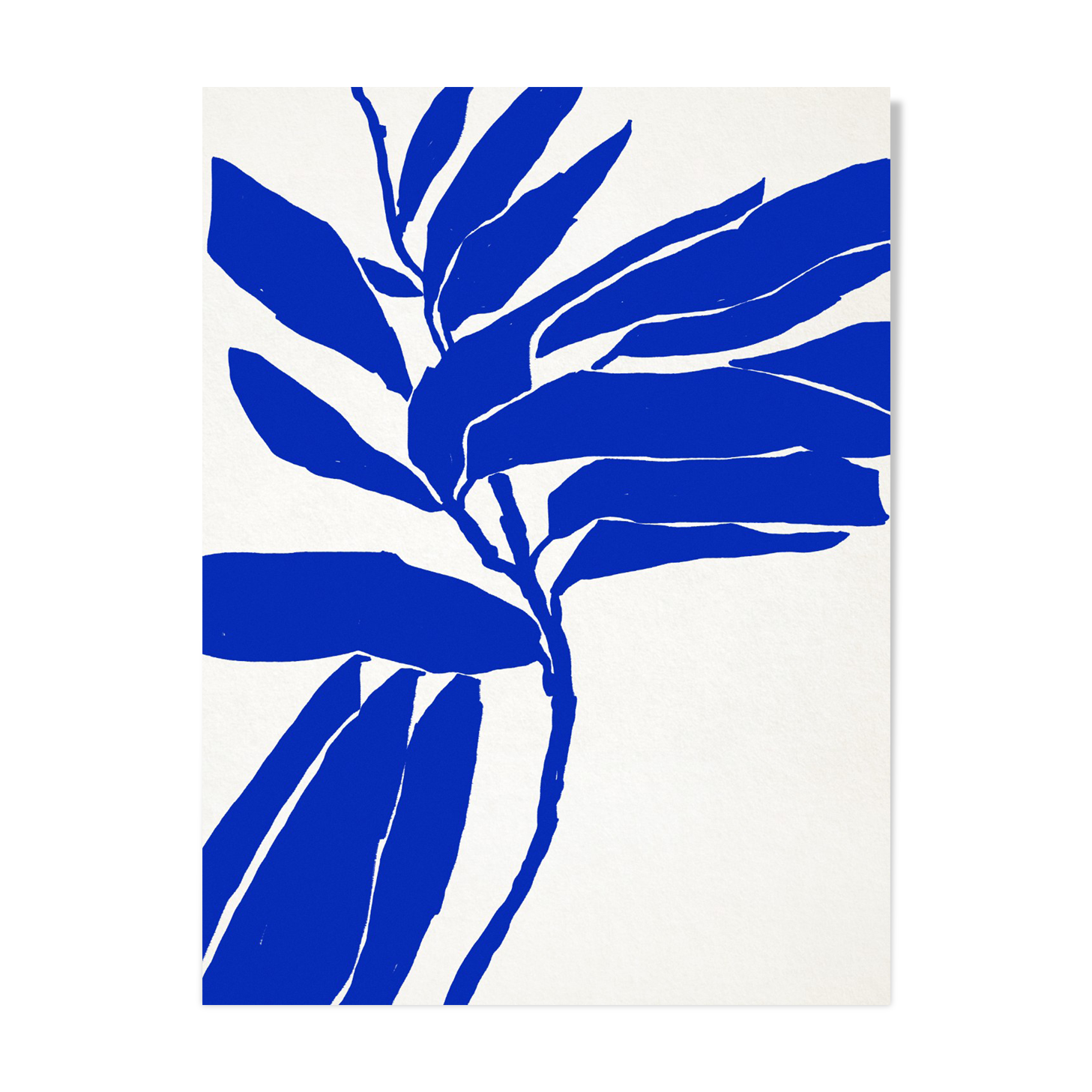 Illustration botanique en bleu 50x70cm