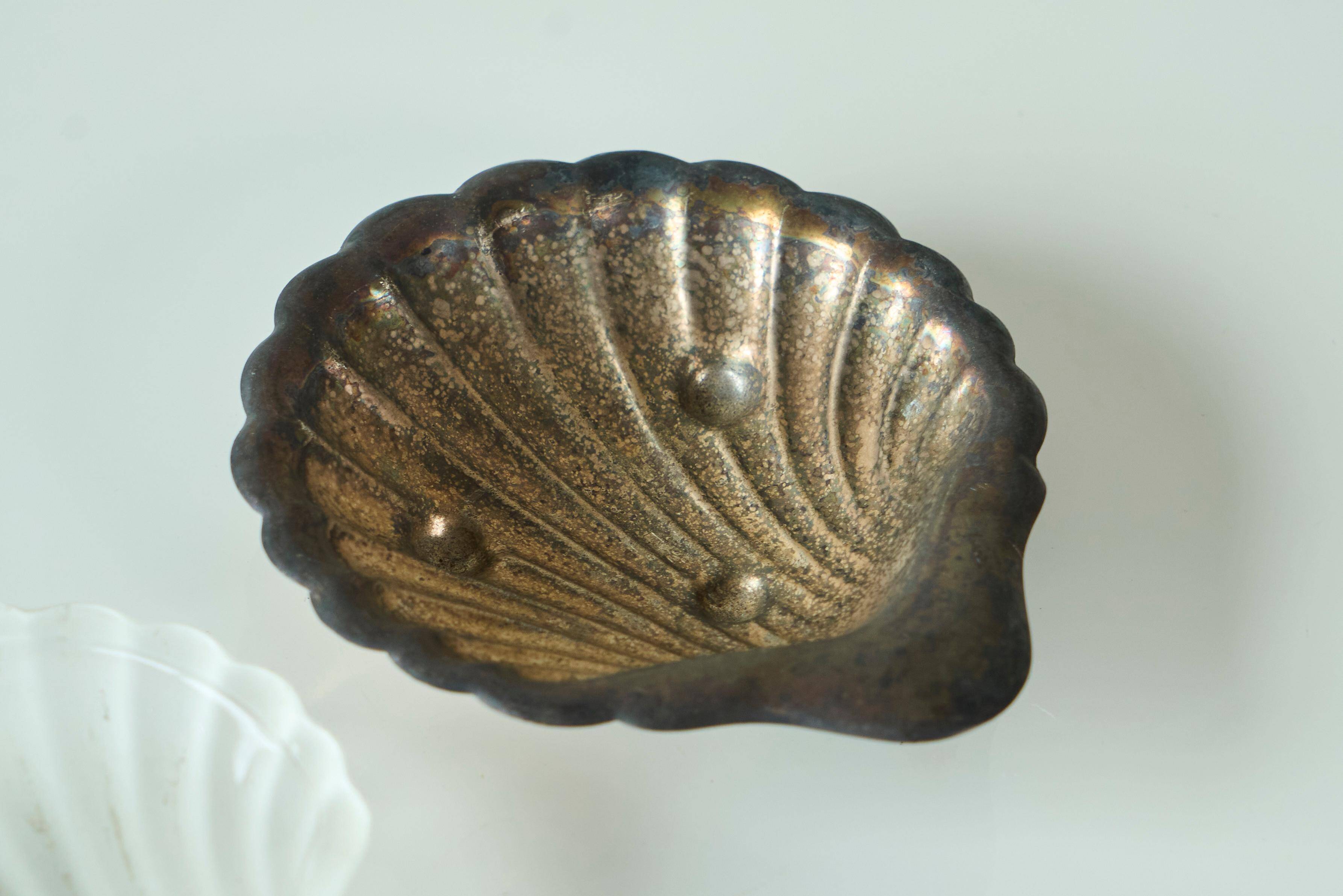 Art Deco Shell Pocket Bowl in Patinated Silver and Satin Glass from the 1930s