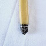 Box of 6 Appetizer Knives in Resin and Metal Vitolas Art Nouveau Style 19th Century
