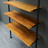 1960s Telescopic Vintage Shelves