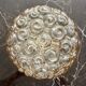 Wall light or ceiling light Helena Tynnel