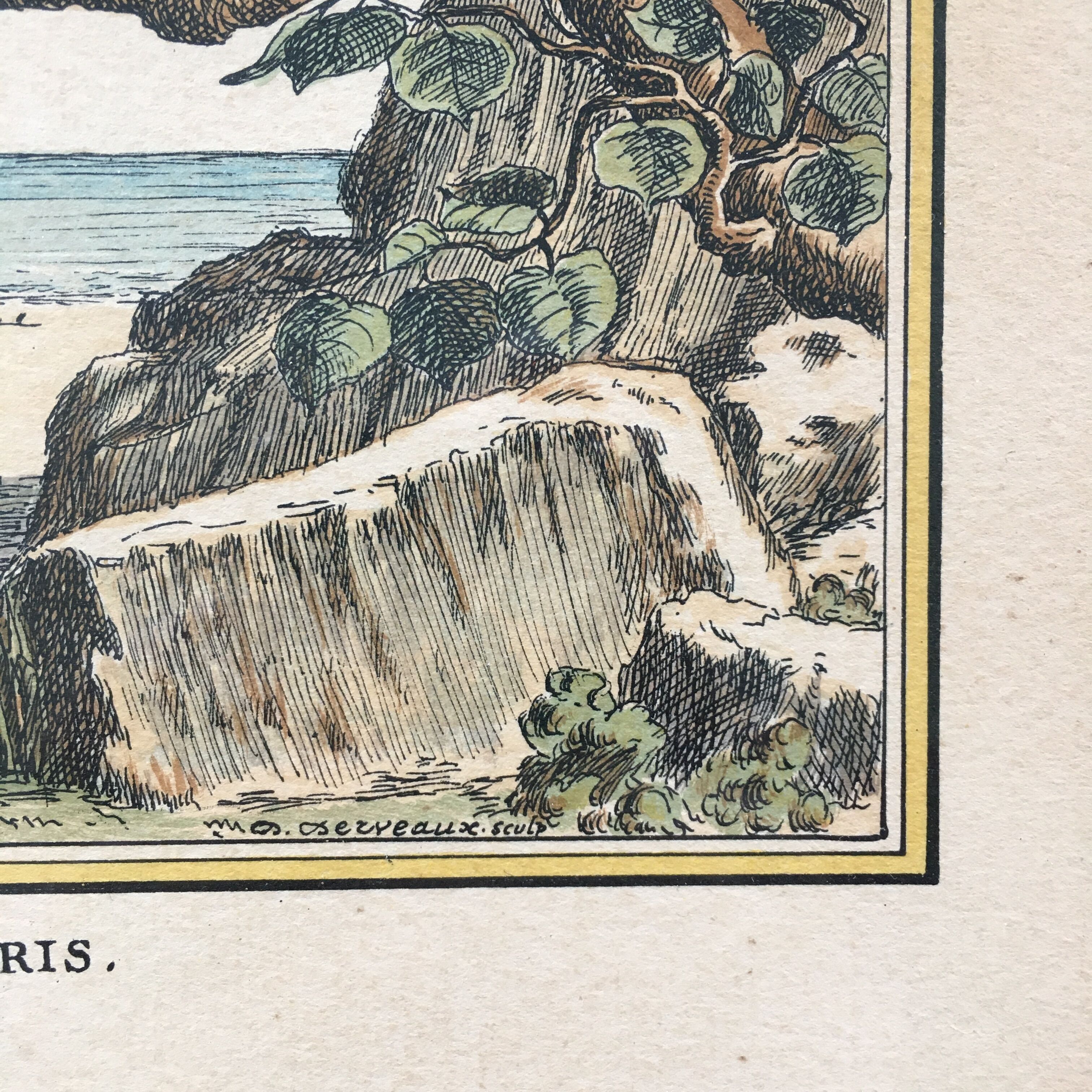 Illustration of hummingbirds.