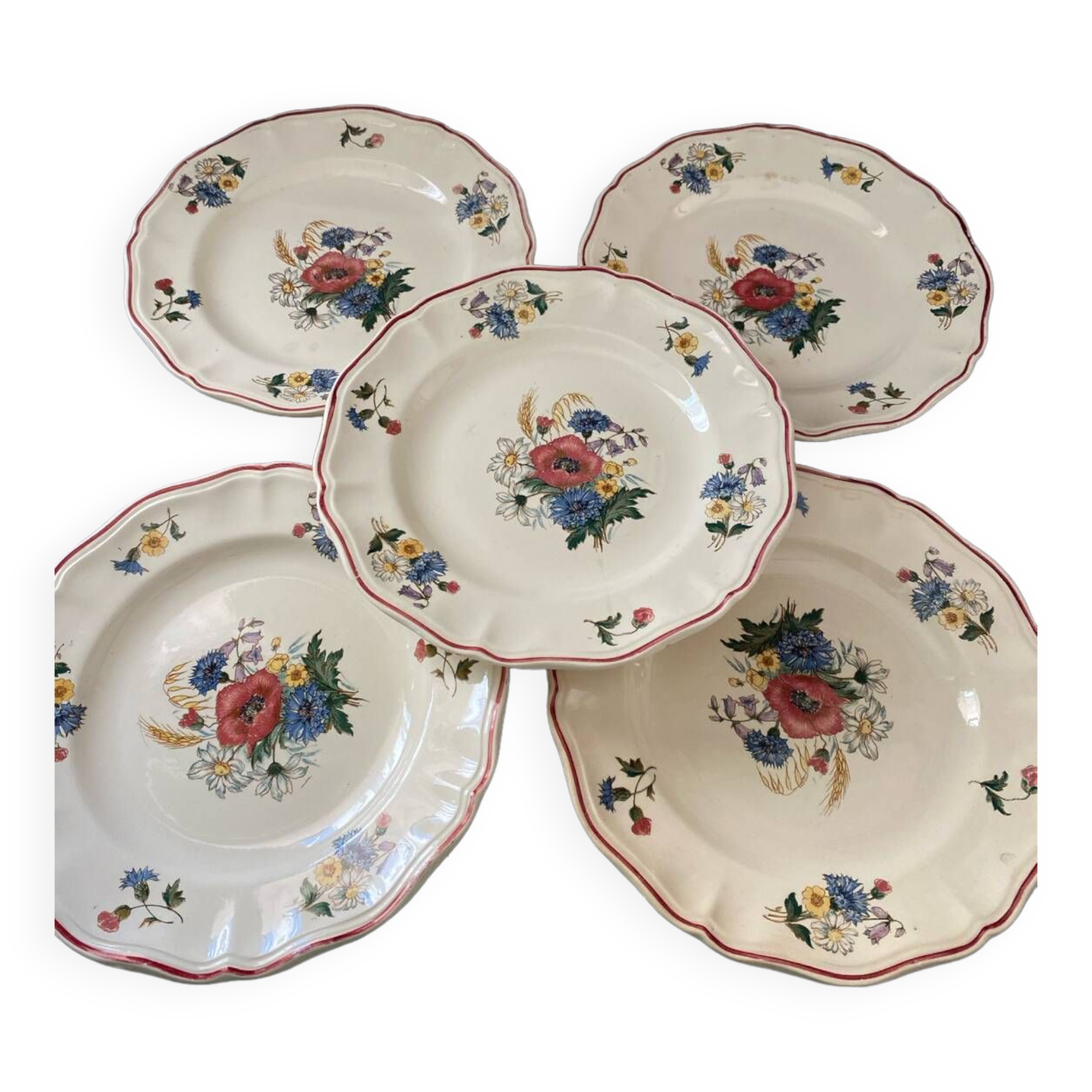 Lot de 5 assiettes Sarreguemines