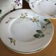 8 porcelain plates 21cm