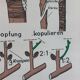 Vintage educational wall hanging roll chart biology plants