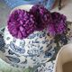 Service à thé Paradisio de Villeroy et boch -