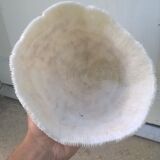 White coral