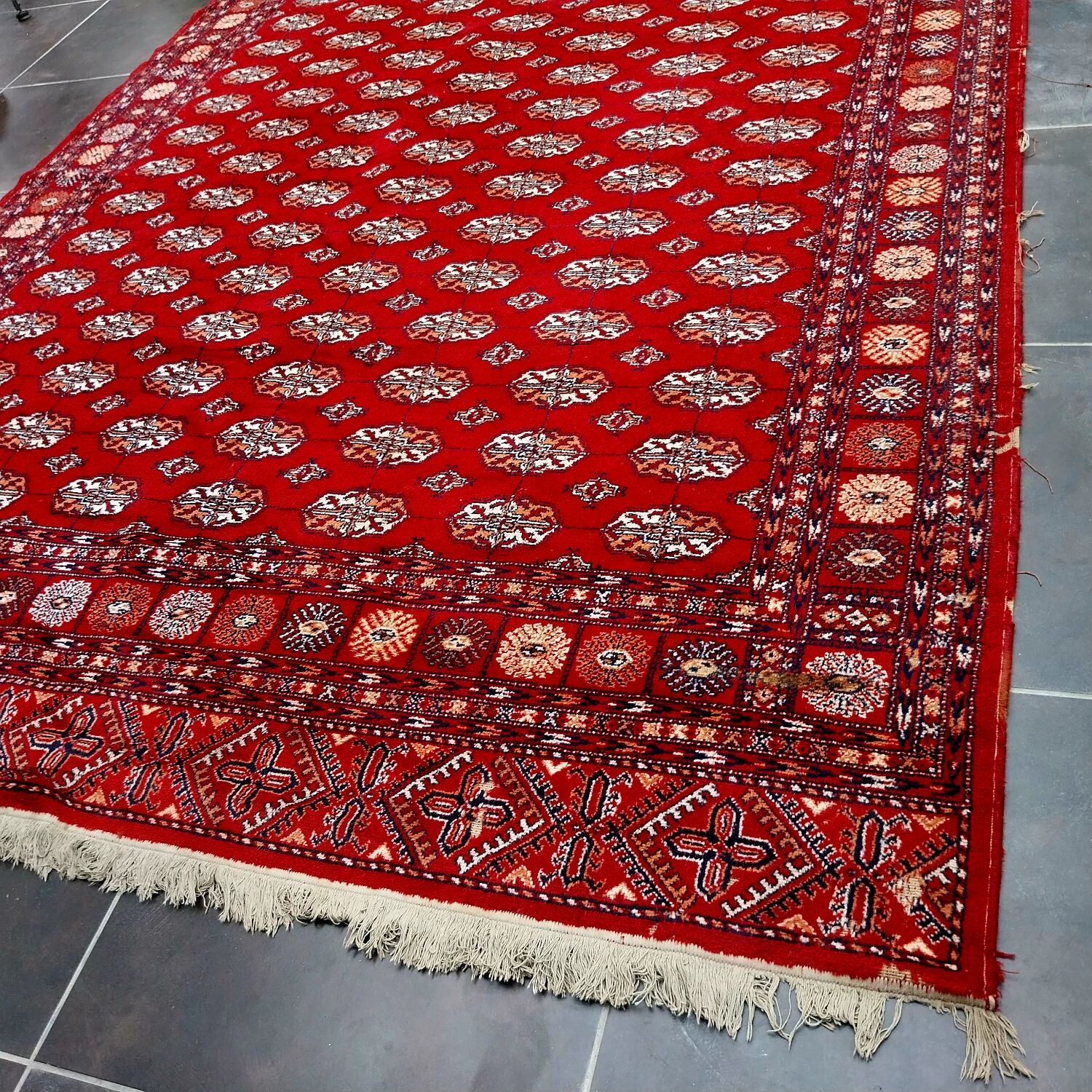 Large carpet Bukhara 310x230