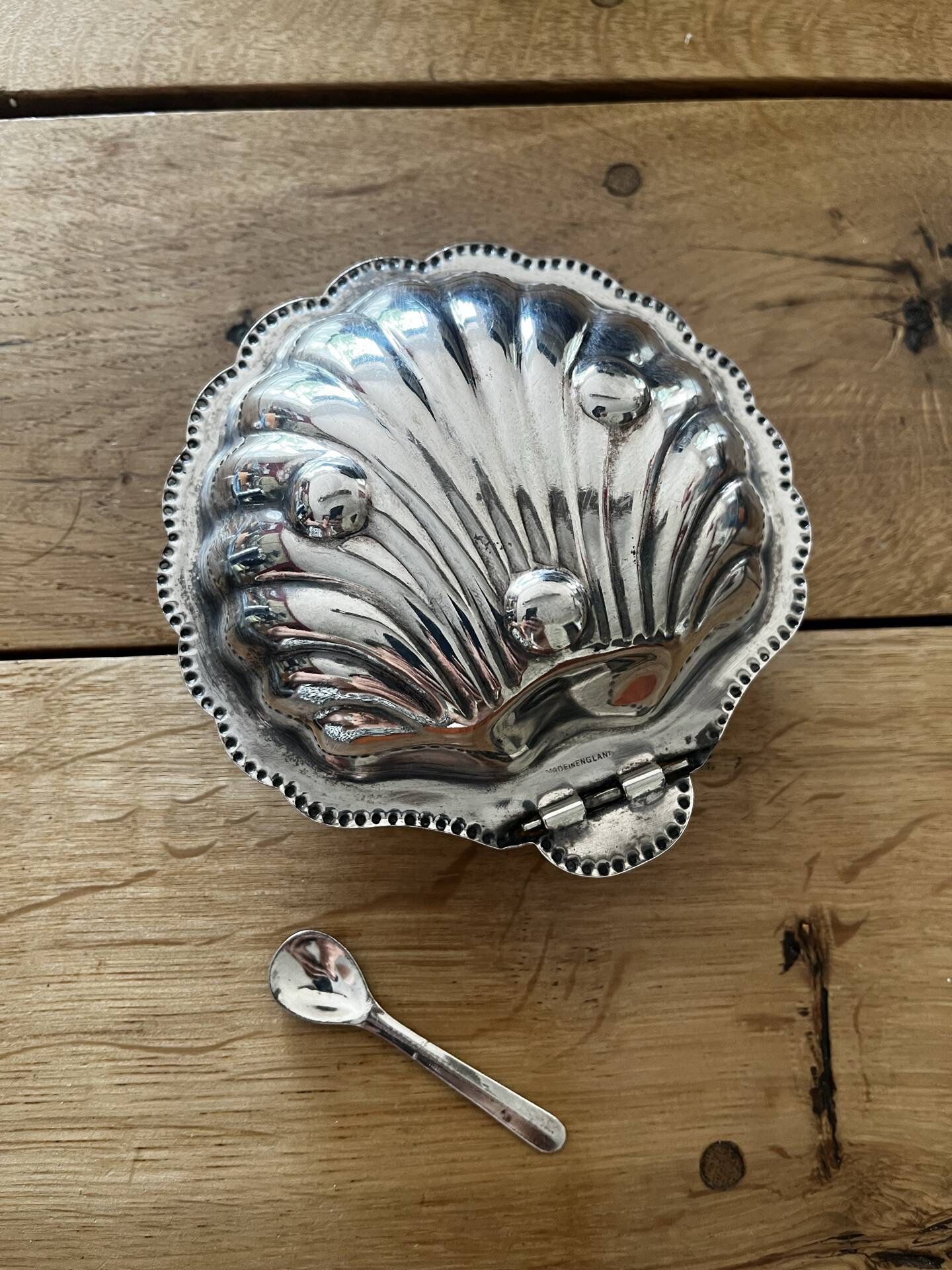 Shell butter dish