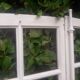 Glass window h146xl227 in arched oak