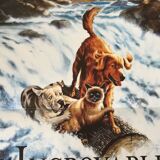 Poster of the film "The Incredible Journey"