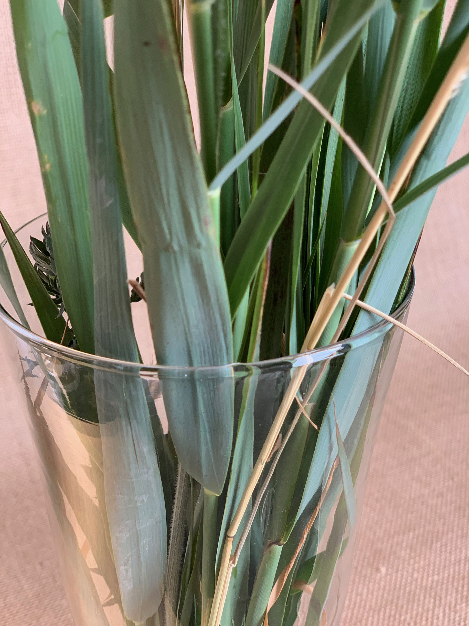 Vintage flute vase with flared neck