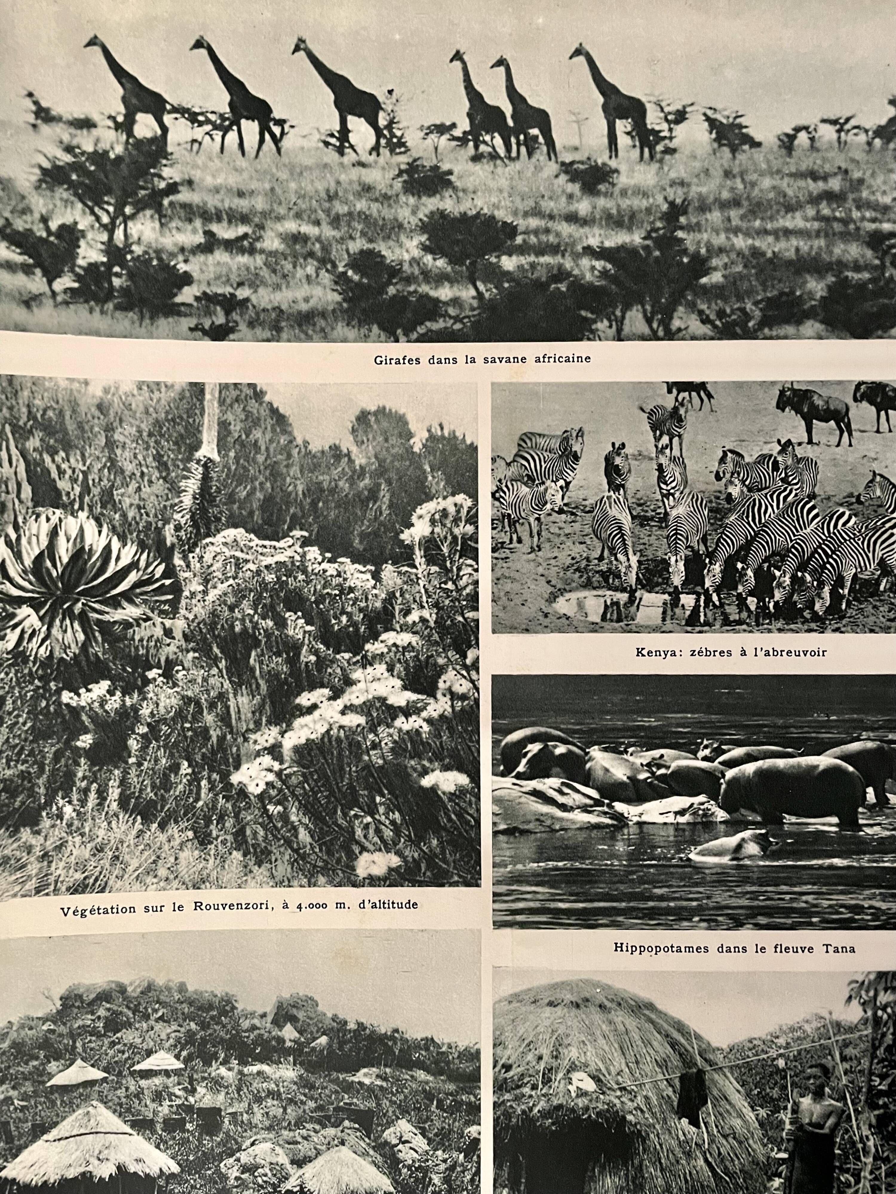 Old map of North and Central Africa from 1945