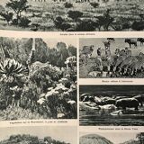 Old map of North and Central Africa from 1945