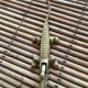 Brass crocodile
