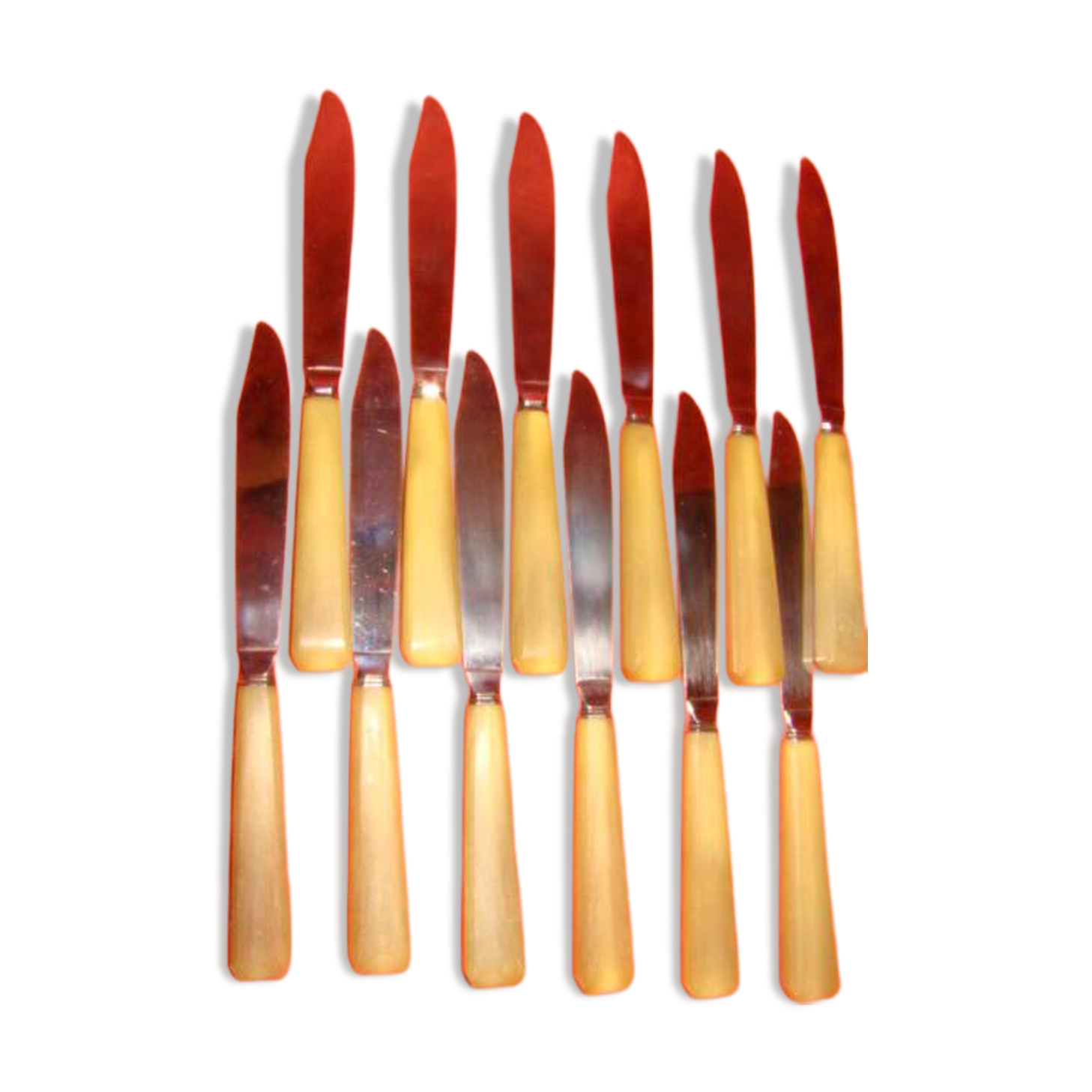 Set of 12 table knives and 12 cheese knives in bone and stainless steel.
