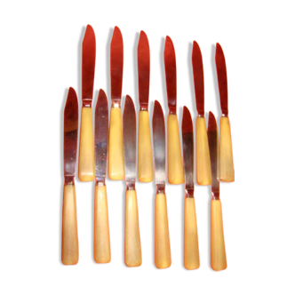 Set of 12 table knives and 12 cheese knives in bone and stainless steel.