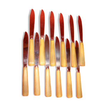 Set of 12 table knives and 12 cheese knives in bone and stainless steel.