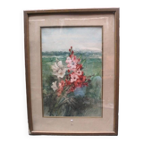 The watercolor "Iris".