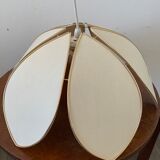 Lotus flower suspension