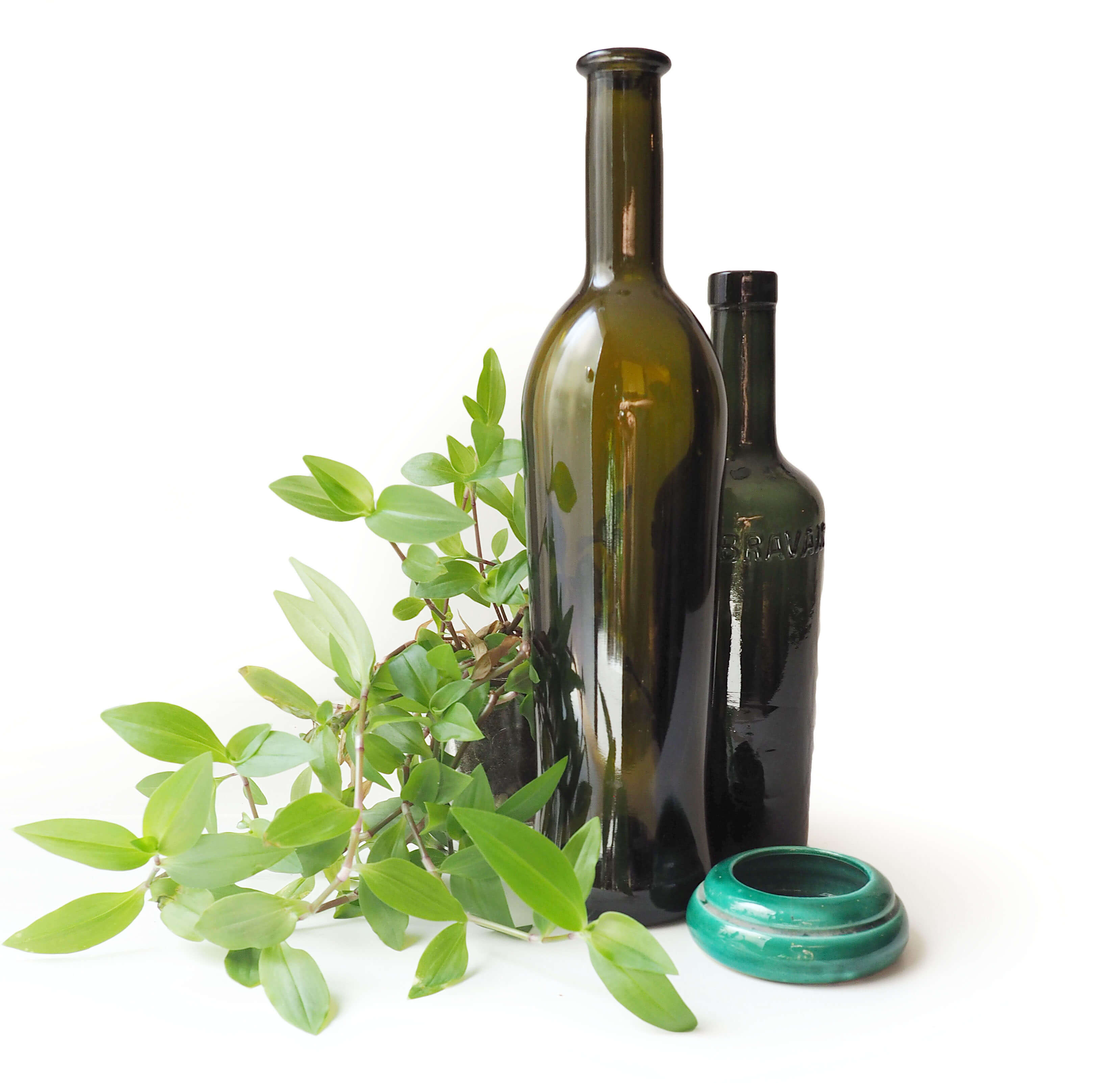 Old elixir bottle