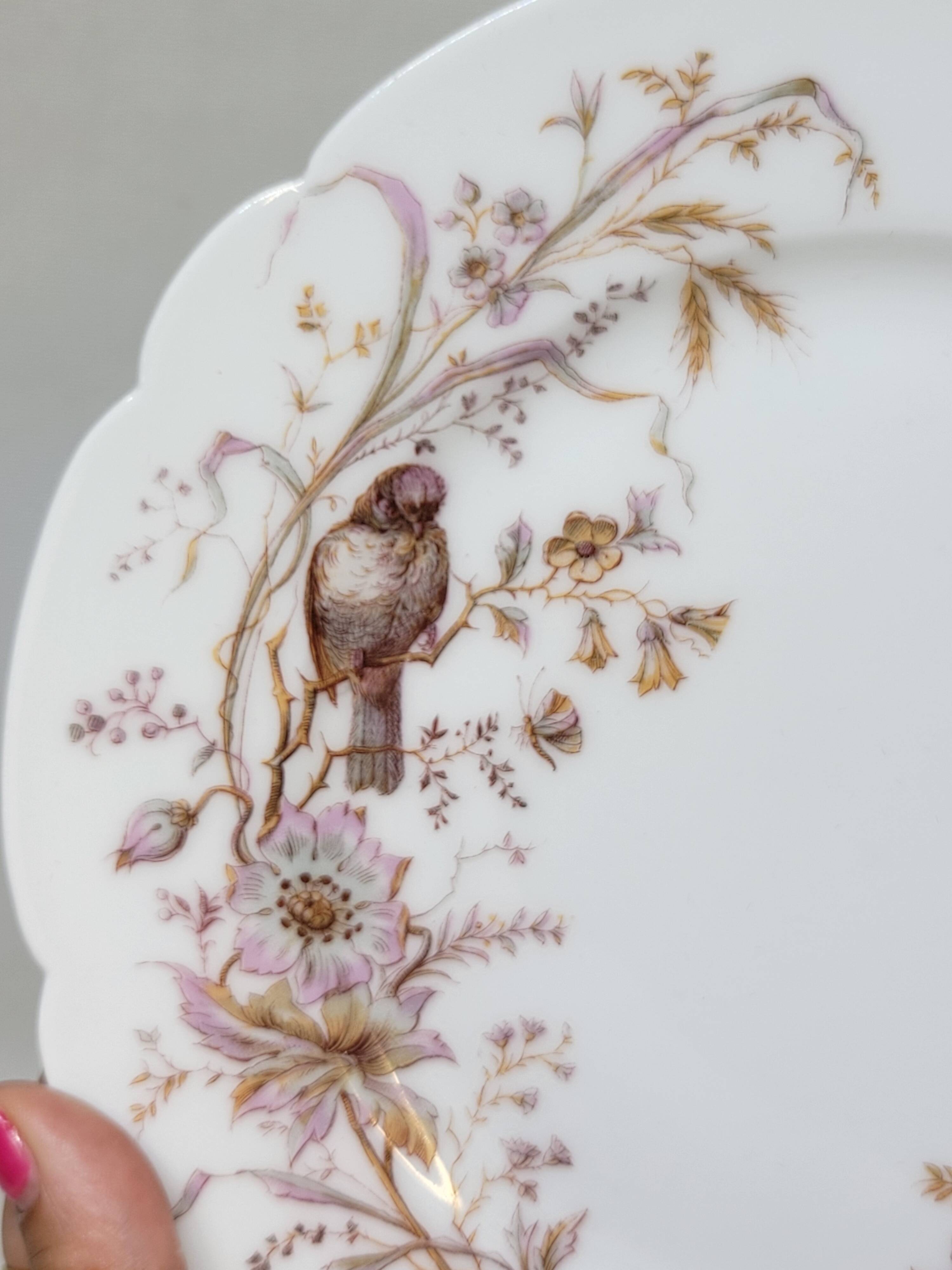8 Superb Antique 19th Century Plates Decorated with Birds on Branches