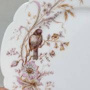 8 Superbes Assiettes Anciennes XIXème Décor Aux Oiseaux Sur Des Branches