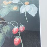 Framed lithograph raspberries