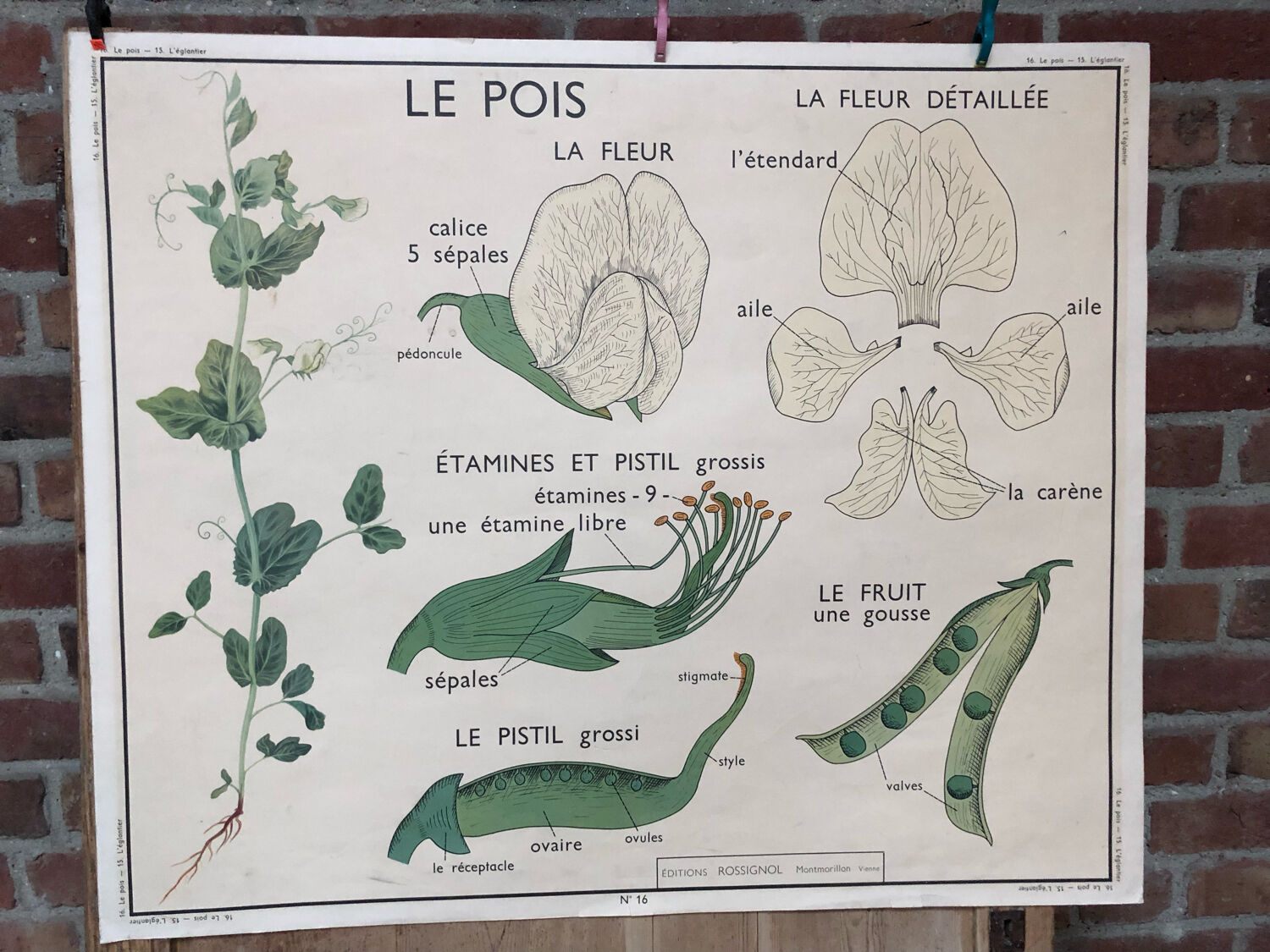 Old double-sided Rossignol school poster