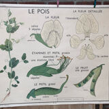 Old double-sided Rossignol school poster