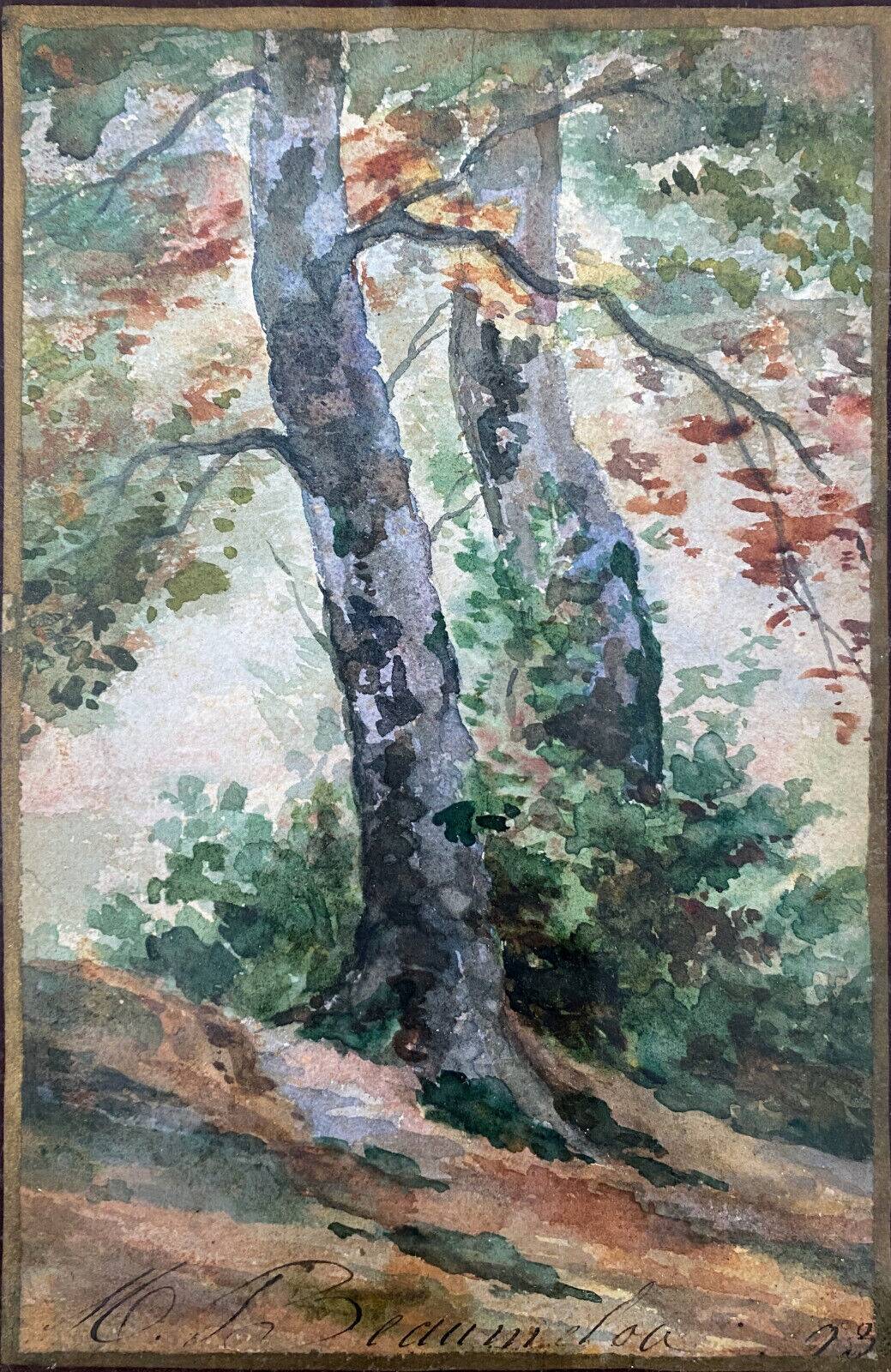 19th century watercolor painting "Trees" signed + period frame and glass