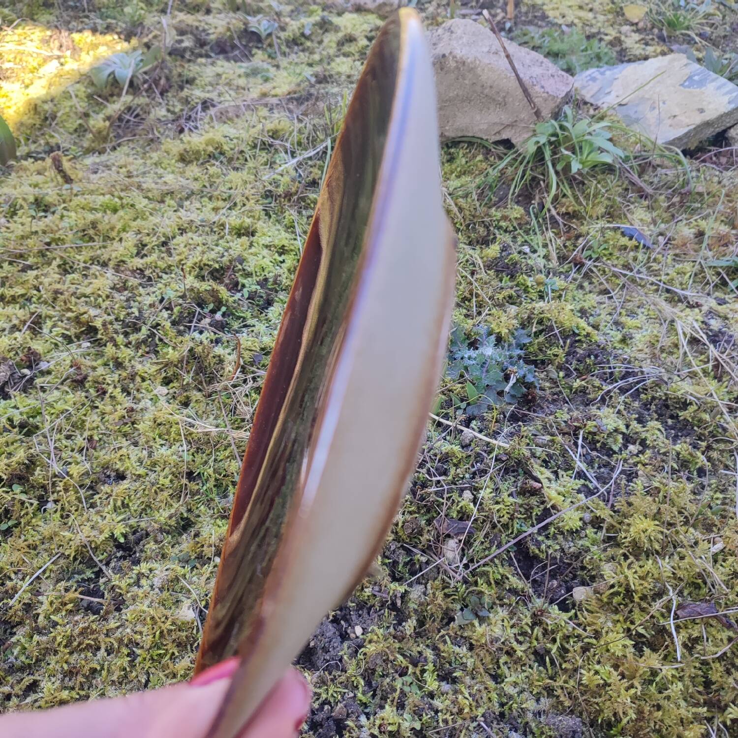 Vintage ceramic plate from Art Grès de l'Arnon France