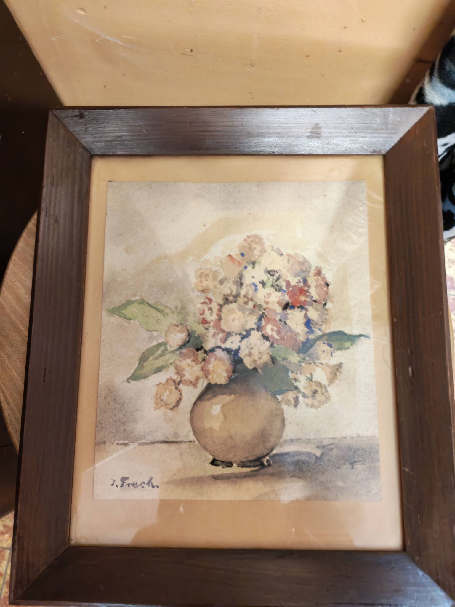 Set of two vintage flower illustrations