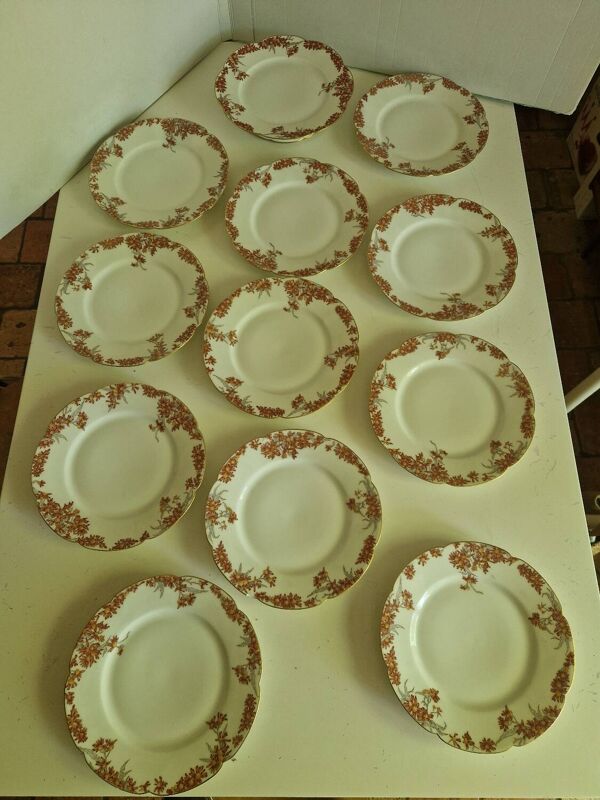 Lot 11 Assiettes Plates En Porcelaine Plus En Plat De Présentation manufact