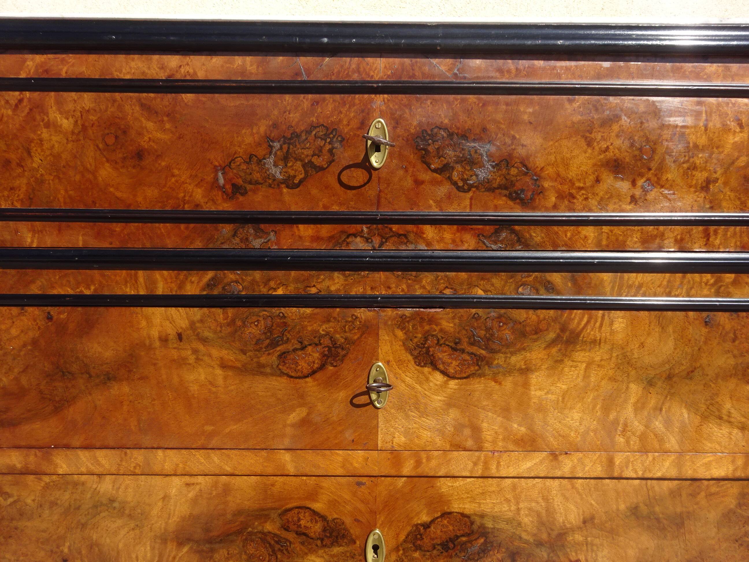 Napoleon III chest of drawers in walnut and burl walnut